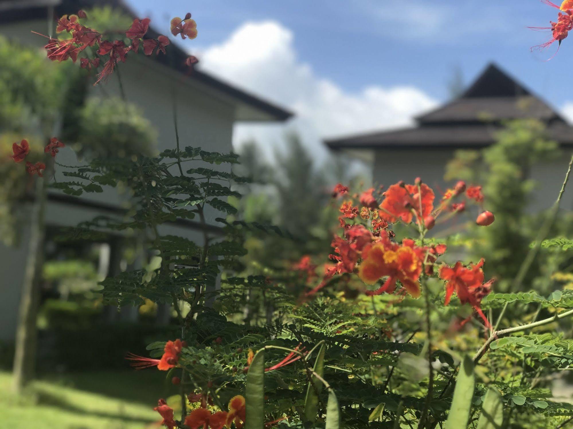 The Hip Resort @ Khao Lak Bang Sak Екстериор снимка